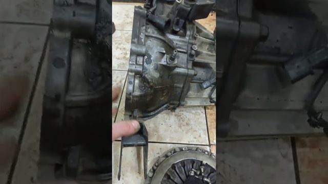 Ремонтные акварели декоративного вдохновения