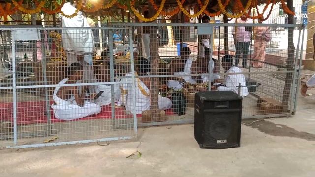 Vedic mantra chanting , @vedicvijnana смотреть онлайн