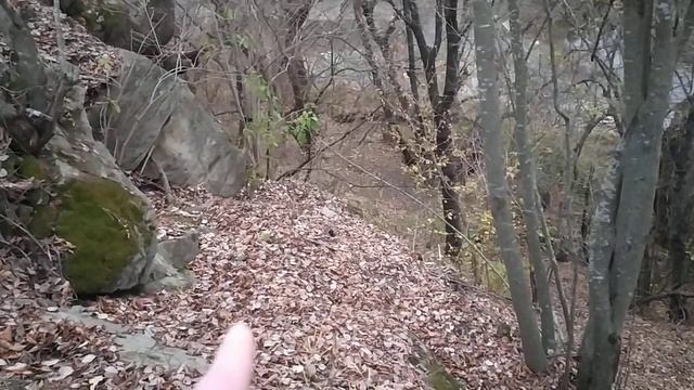 Петля на барсучьей тропе