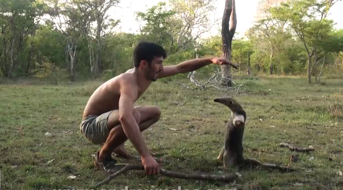Достал всех животных смотреть онлайн