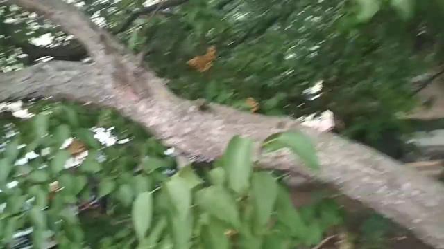 МЧС и скорая на Лушпы 30 в Сумах смотреть онлайн