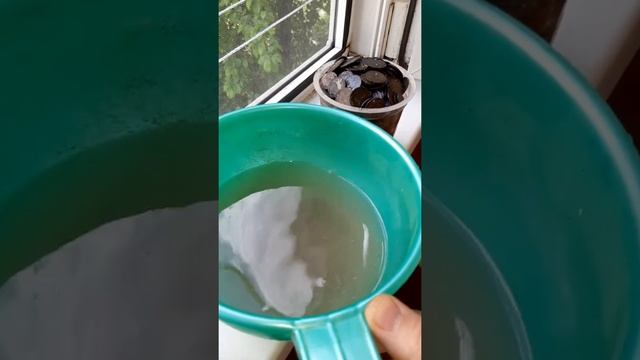 ??? Как почистить монеты в домашних условиях. Самые простые способы. смотреть онлайн