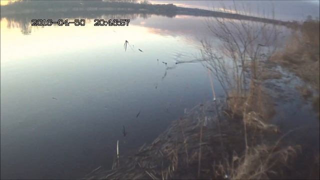рыбалка на р.Луга д. Орлы . по большой воде. смотреть онлайн