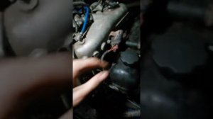 Двс 4216 соболь, плавали обороты.