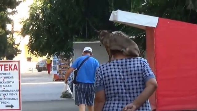 Друзья.Хозяйка с собакой из Судака