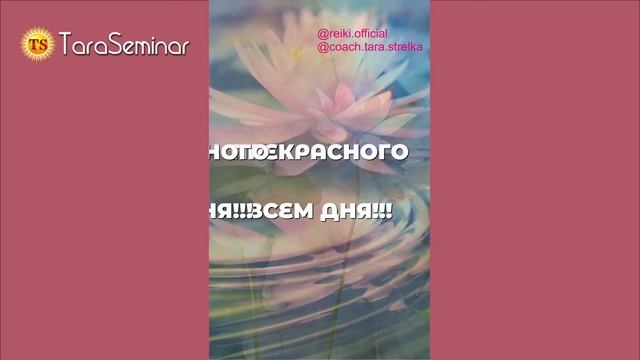 Я желаю всем счастья. Картинки с лотосами смотреть онлайн