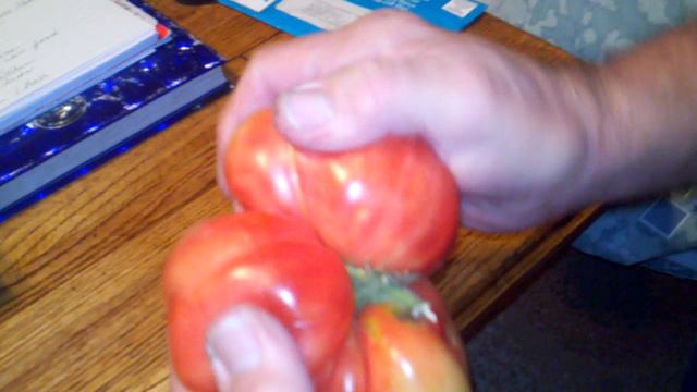 3 blossom tomato in 1--1 large tomato from 3.. смотреть онлайн