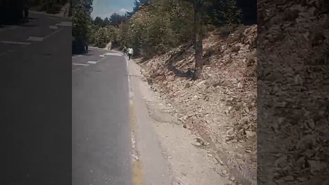 Mountbike Vodno downhill off road sections (Short version) 09.05.2020 ? смотреть онлайн