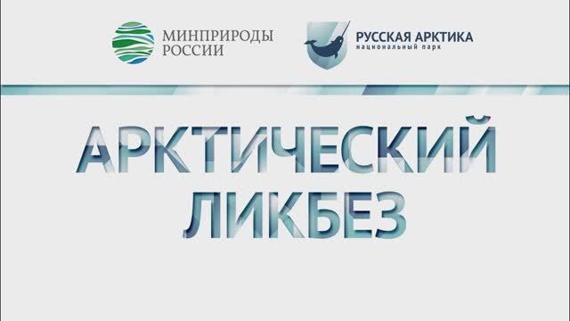 Арктический ликбез с Павлом Марьяндышевым смотреть онлайн