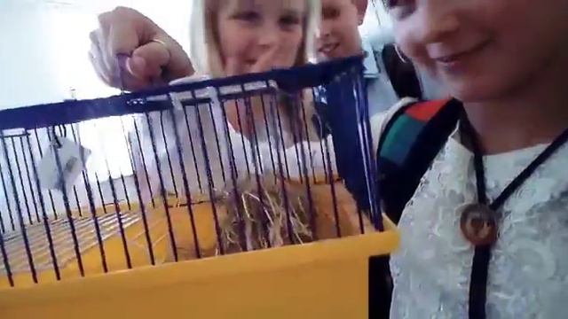 Мой др.Еве 11 лет. ура смотреть онлайн