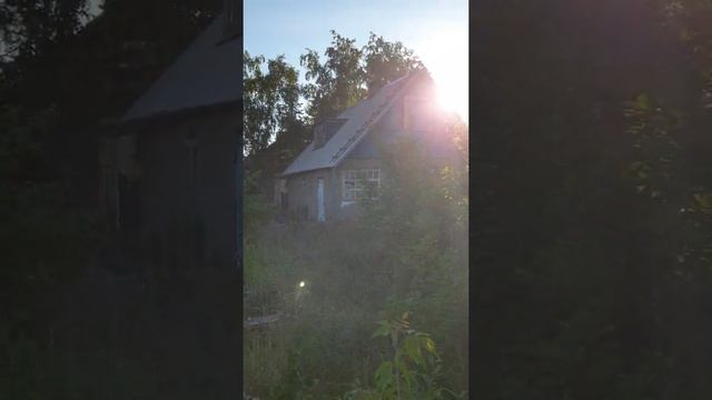 Покупка дачного участка (дача). Осмотр. смотреть онлайн