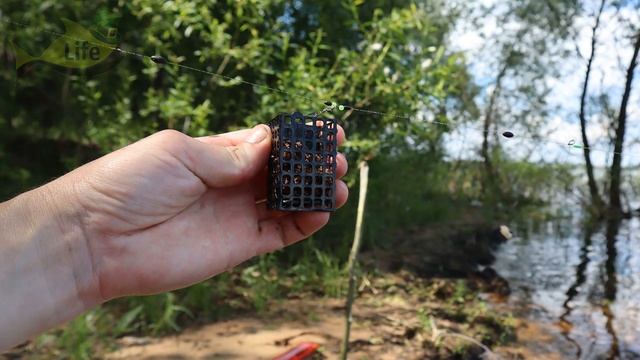 Приключения Рыболова