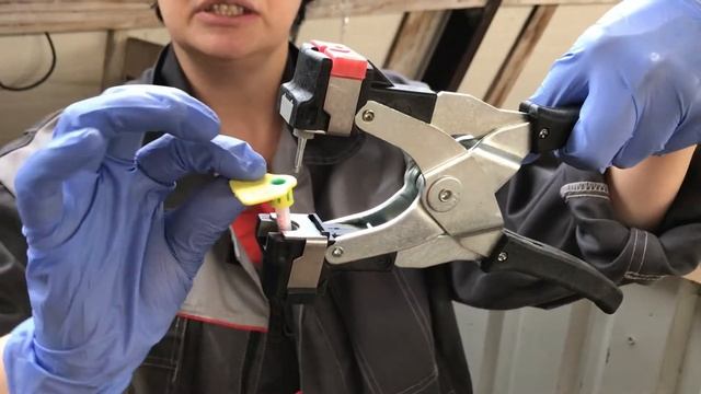 Бирка для отбора генетической пробы смотреть онлайн