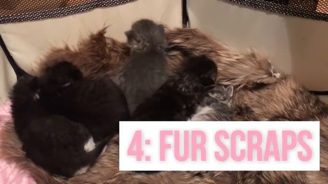 5 Ways to Comfort a Kitten смотреть онлайн