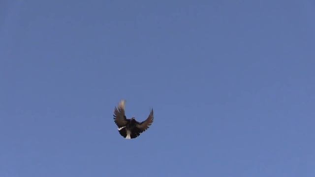 Идеи для оригинальных подарков