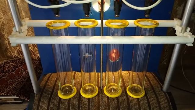 Hyundai Accent. Промывка чистка форсунок своими руками. Самодельный стенд для промывки форсунок.