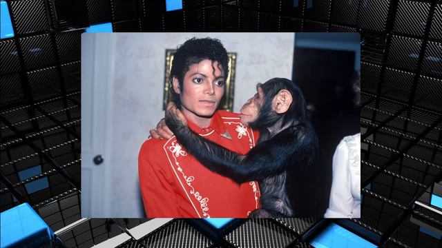Michael Jackson's chimp Bubbles 'sells paintings' to raise funds for ape sanctuary | Celebrity News смотреть онлайн