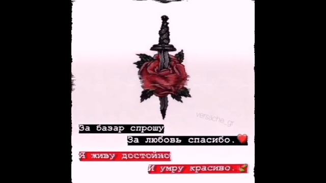 ?Лучшая подборка цитат |#4|?