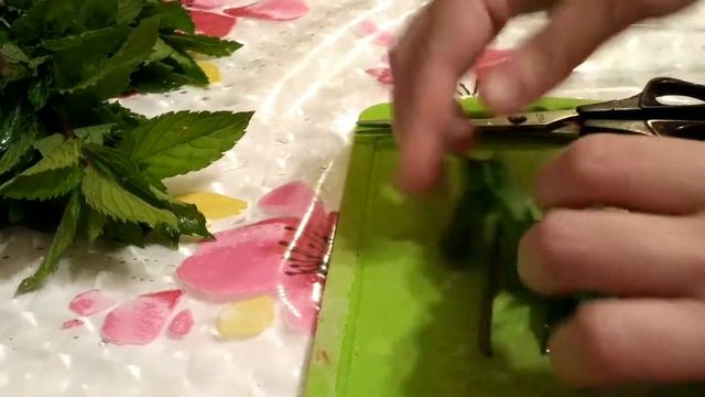 Делай Своими Руками