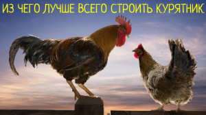 Из чего лучше всего строить тёплый круглогодичный курятник / Делюсь опытом строительства курятника
