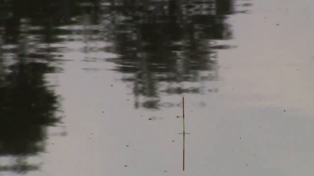 Охота на толстолоба смотреть онлайн