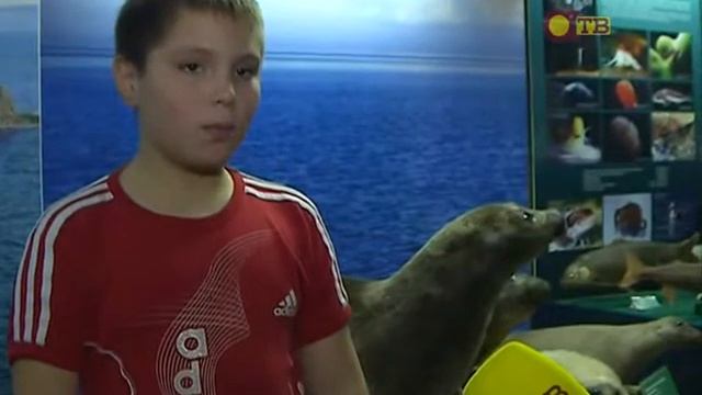 Почему нерпа плачет?