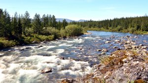 Александр Городницкий - "Перекаты"