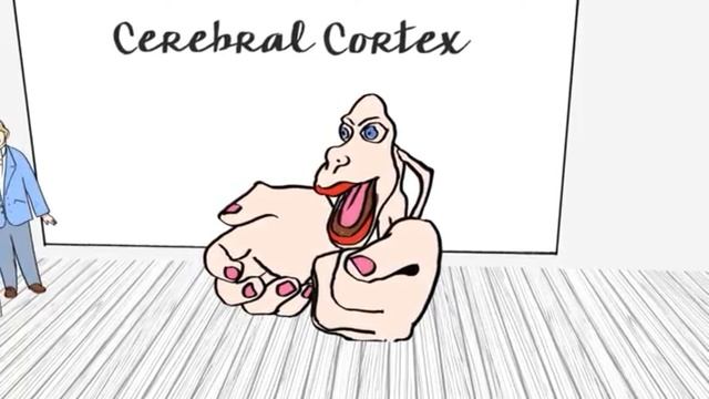 Parts of the brain (reading in english + ru subtitles) created by Brezgalova Alexandra смотреть онлайн