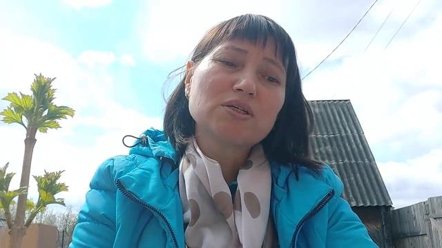 Купили дачу/проволочник/ не повторяйте мои ошибки/травить или не травить... смотреть онлайн