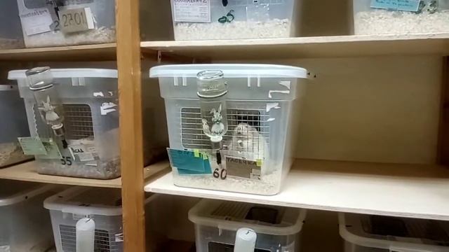 Делай То, Что Легко