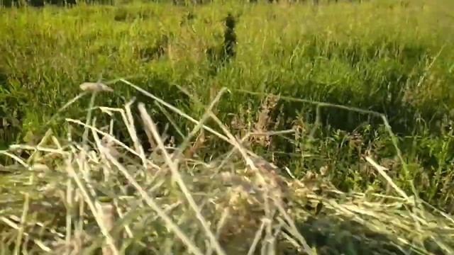 Визём сена матаблок. смотреть онлайн