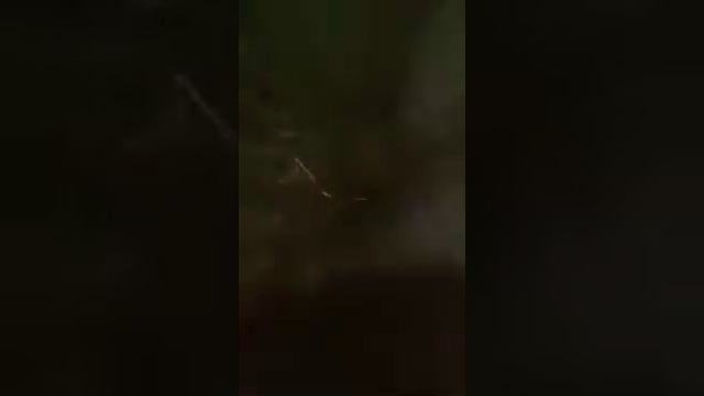 Побег из зоопарка часть 2 смотреть онлайн