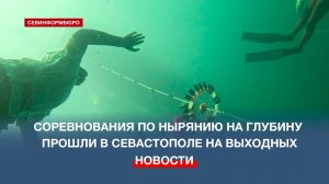 В Севастополе прошёл чемпионат по фридайвингу