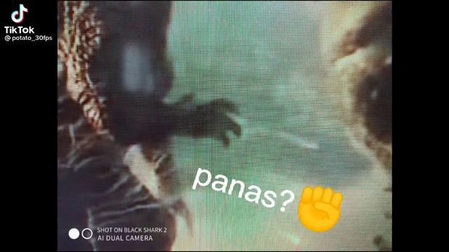 GODZILLA solo queria darle la mano a KONG 😪 смотреть онлайн