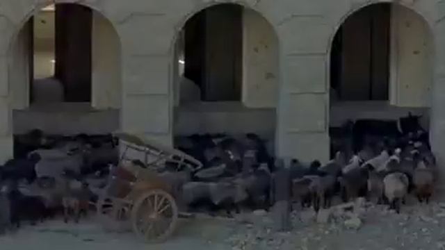 A Las Cinco De La Tarde Samira Makhmalbaf 2003 смотреть онлайн