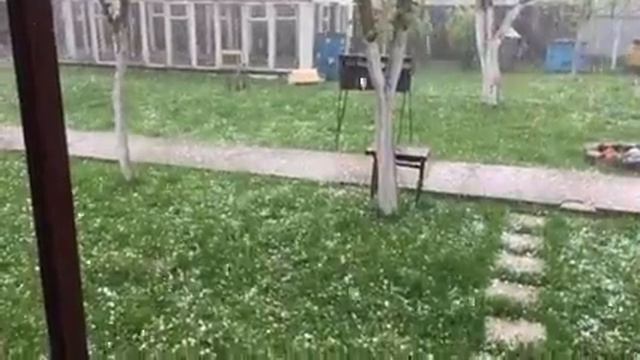 Град в мае на пасеке. 1 мая, Беларусь. смотреть онлайн