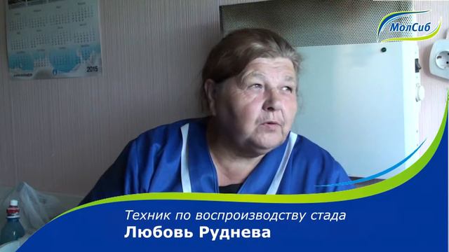 ЗАО Раздольное смотреть онлайн