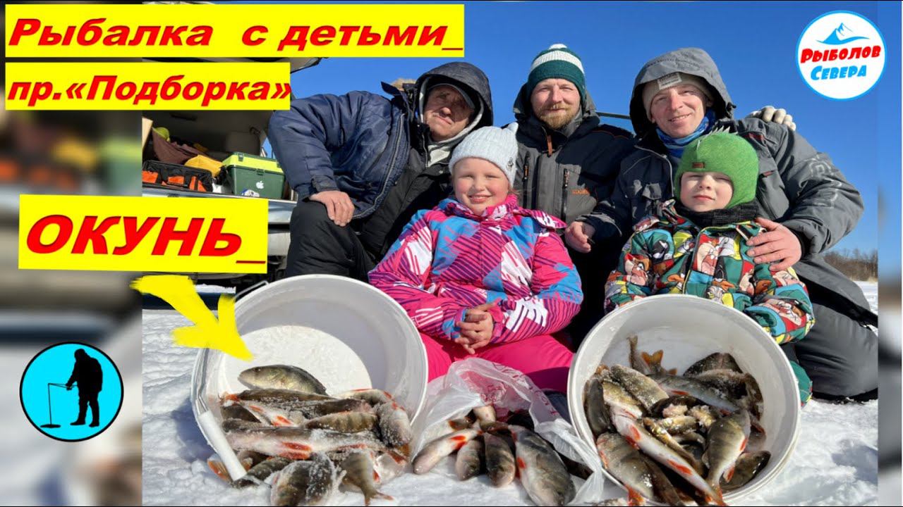 ✅ РЫБАЛКА НА ОКУНЯВЫЕЗД С ДЕТЬМИ на протоку «Подборка»#рыболов_севера #окунь смотреть онлайн