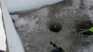 Самодельный Поплавок  Цветок