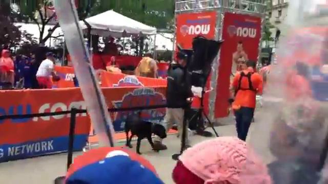 Все об Америке!!! Фанаты баскетбольной команды New York Knicks смотреть онлайн