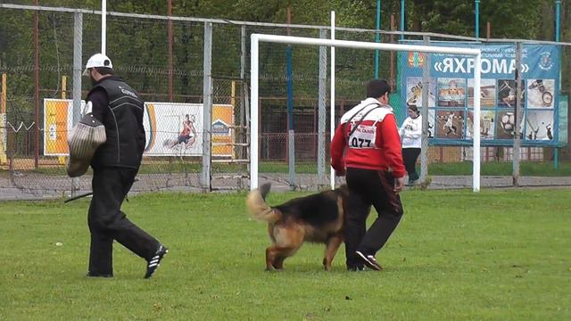 №77, Уран с Лесного смотреть онлайн