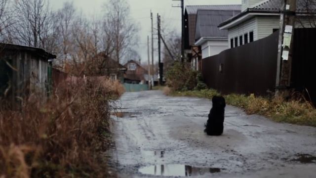 ПОМОРСКИЙ КОВЧЕГ. ДНЕВНИК - СЕРИЯ 10. СКАЗКА смотреть онлайн