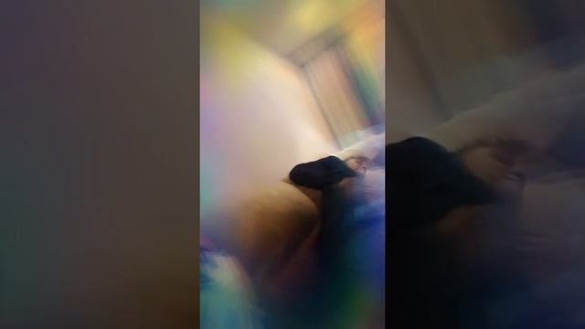 Вите? Киви? Вики-википедия что ли?! смотреть онлайн