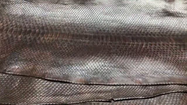 Питон натуральный, тёмно коричневый, Италия 720p смотреть онлайн