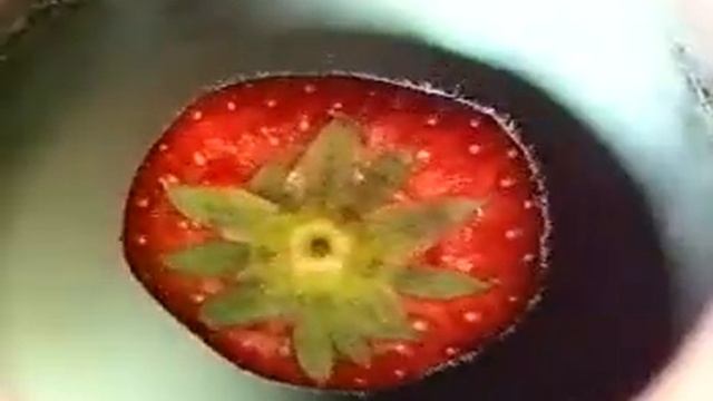 Levitating Strawberry смотреть онлайн