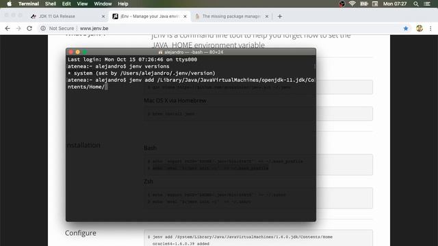 Instalación de OpenJDK 11 y NetBeans 9 en macOS смотреть онлайн