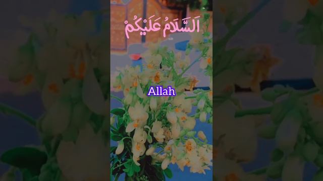 #quran #short смотреть онлайн