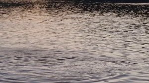 Добра и МИРа!