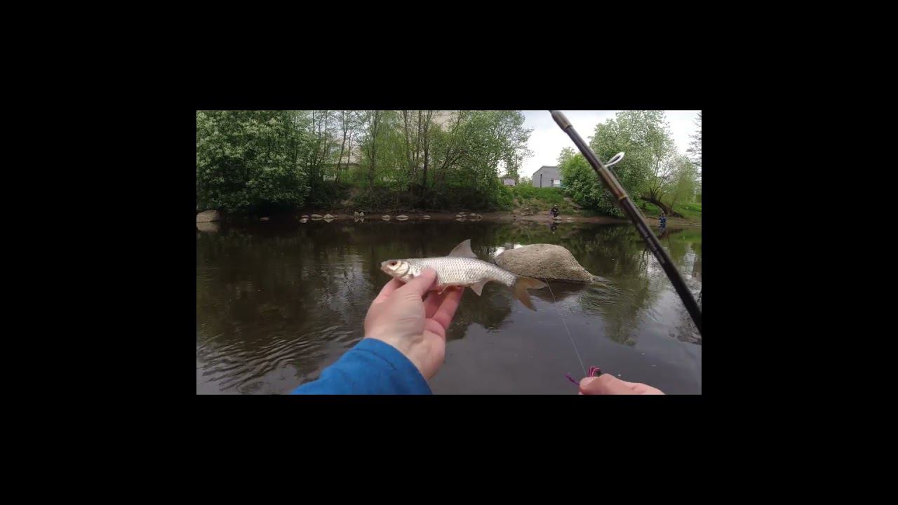 #мормышинг | Плотва на спиннинг | смотреть онлайн