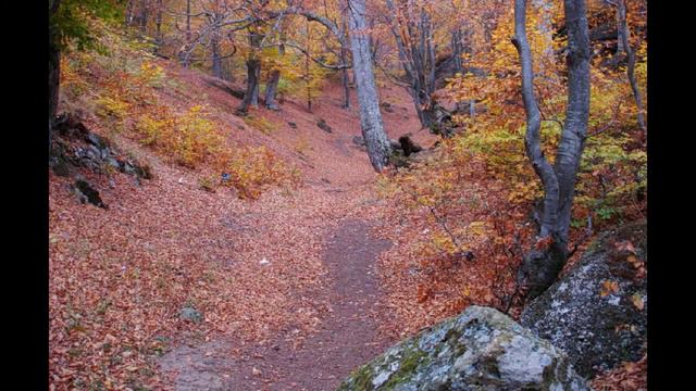 Демерджи в ноябре.Крым.Mount Demerdzhi in November.Krimea смотреть онлайн